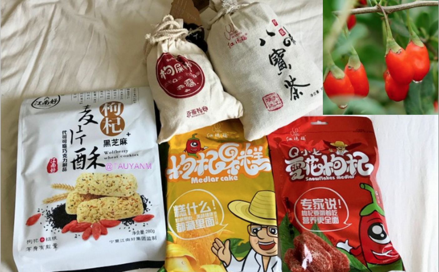 goji berries, ningxia red, ningxia china, yinchuan ningxia china, china vlog, china blog, dubai blogger, dubai influencer, filipino blogger, filipino influencer, filipino in dubai, benefits of goji berries, shopping in ningxia china, ningxia gift shop