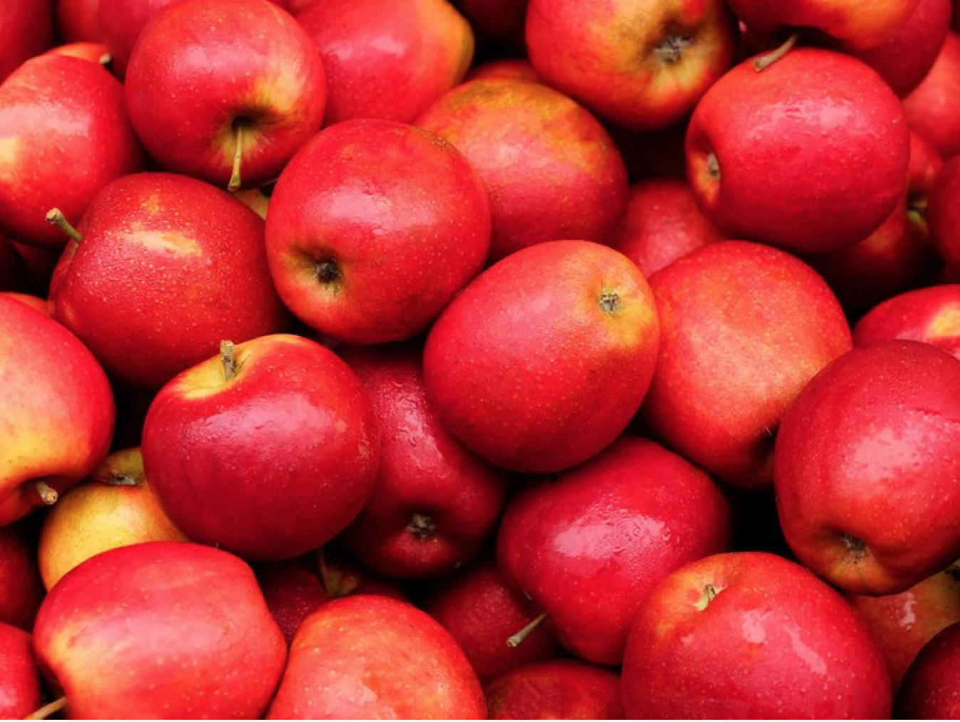apples, Brain Healthy Foods You Should Put in Your Child's Lunch Box Everyday, dubai blogger, filipino blogger