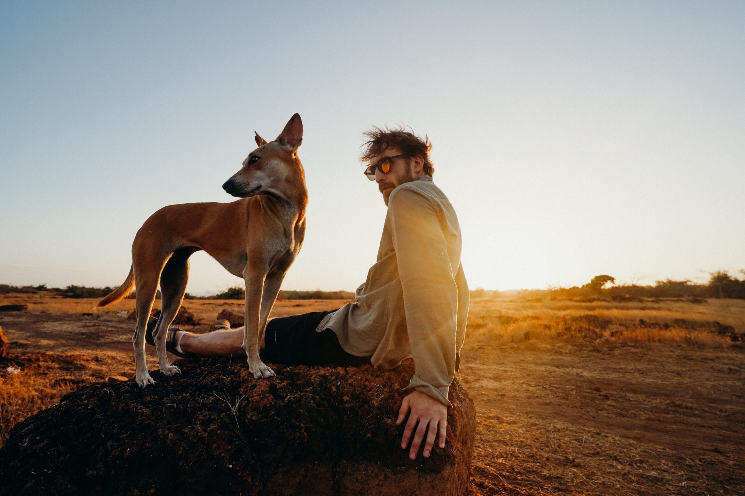 Top Tips for Traveling with Pets, malaysia blogger, malaysia magazine, malaysia influcencer, jane fashion travels, pexels-cottonbro-4430321